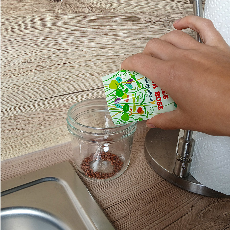 Die Samen aus der Tüte in das SPROSSI-Glas schütten.