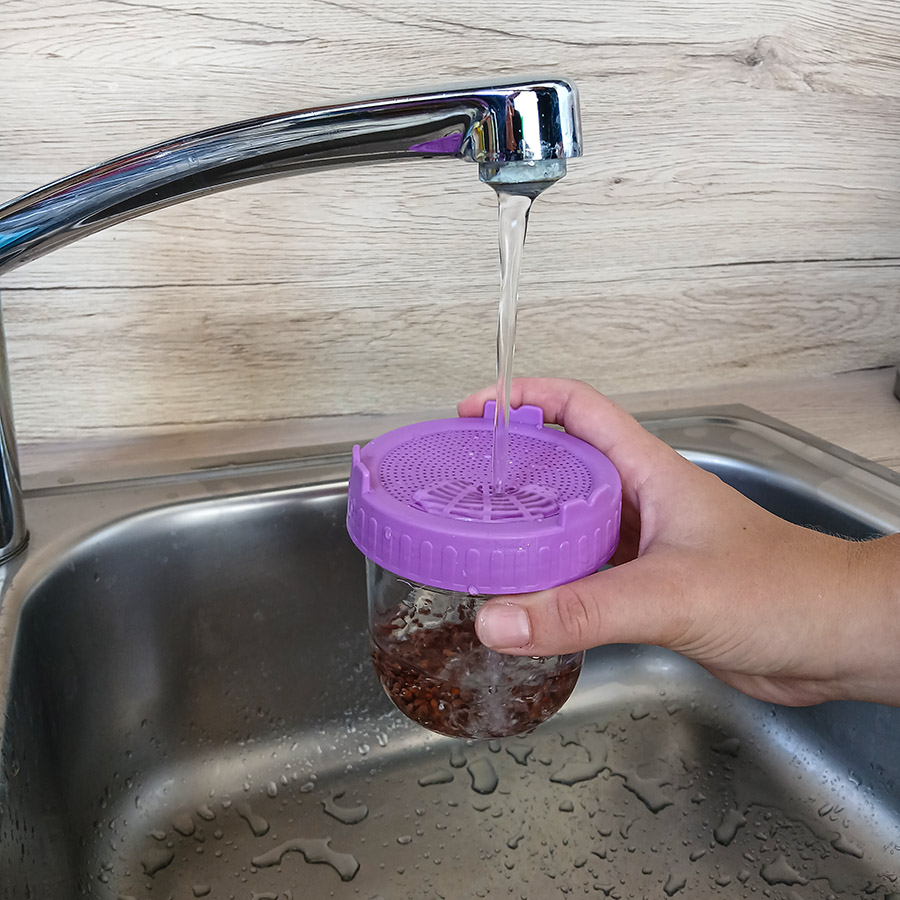 Das Saatgut im SPROSSI-Glas mit Wasser spülen.