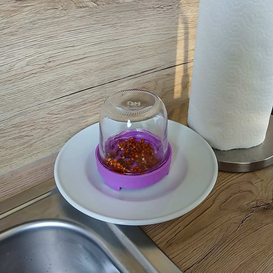 Samen im Glas keimen lassen.