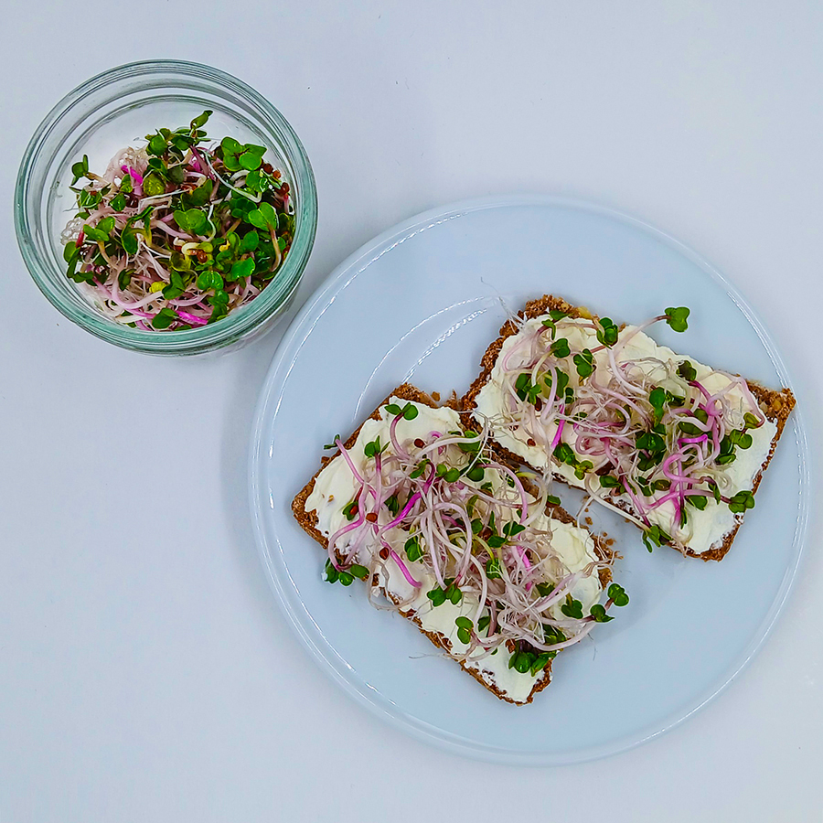 Sprossen verzehrfertig im Gals und auf dem Brot zum Reinbeißen.
